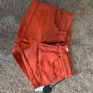 Amuse Society Denim Shorts